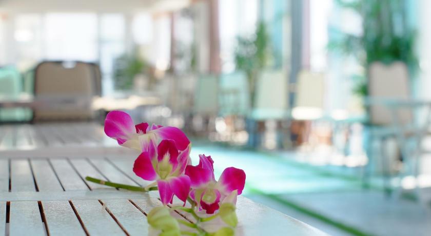 Thanh Hoang Chau Hotel - image 10