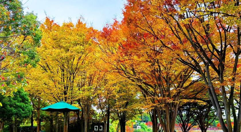 오사카 Tsurumi Green Base 2LDK 숙소 부대시설