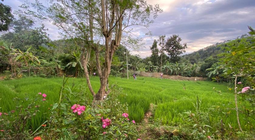 Diyaluma Villa Resort