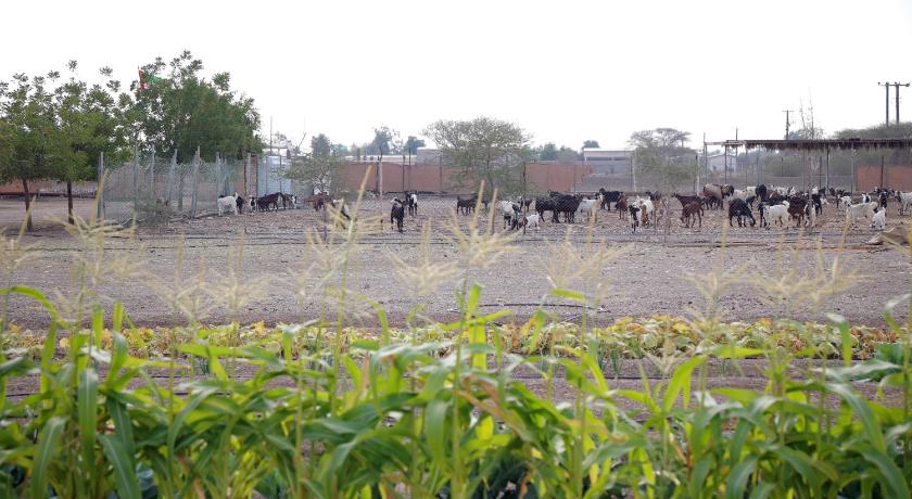 Farm house with all facilities in Al Dhaid , sharjah