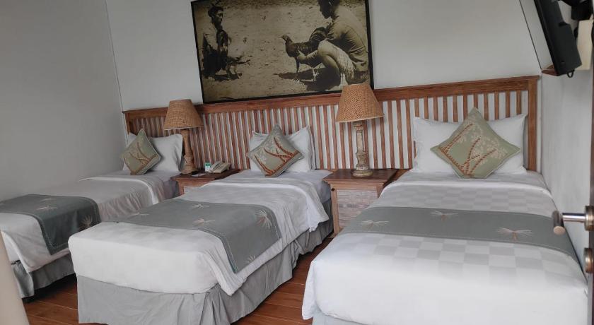 Image of Deluxe Villa 1