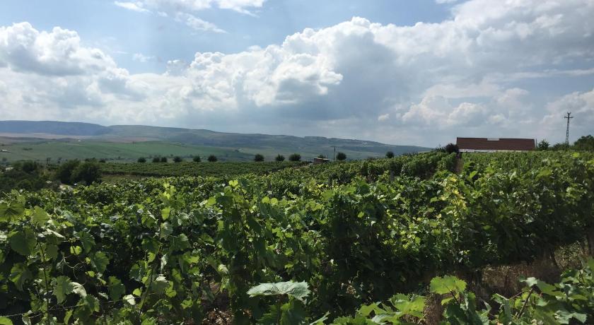 Transylvania WINE