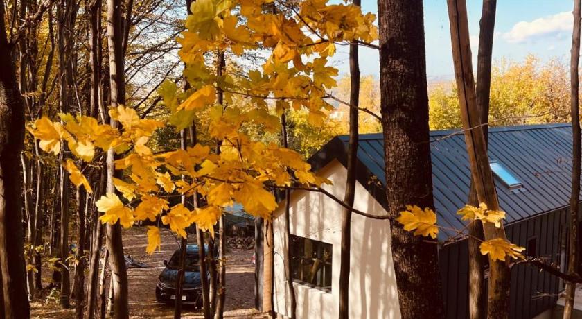 Forester Cabin
