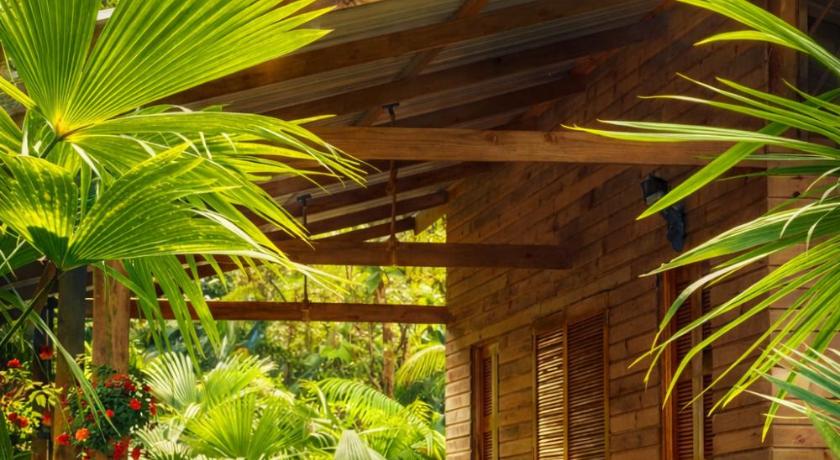 Madre Selva Eco Lodge