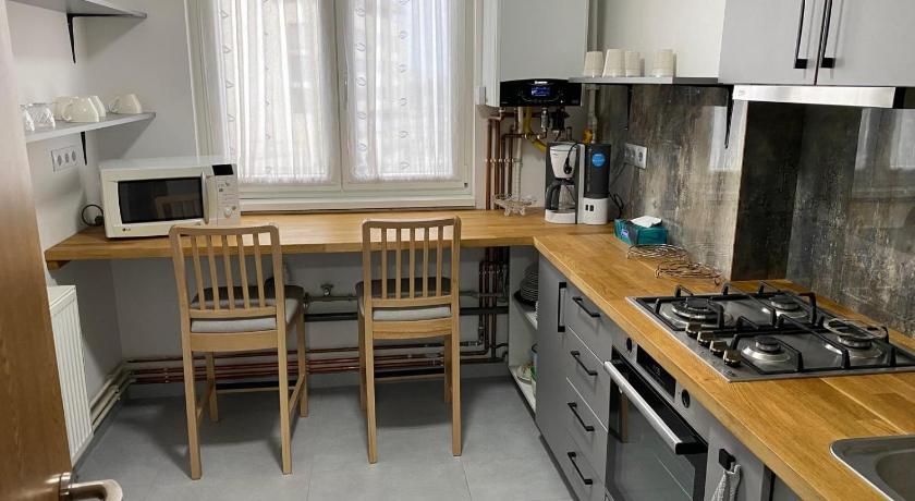 Apartament ultracentral Botis