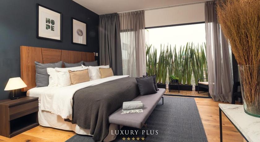 Luxury Apartment in Roma Norte