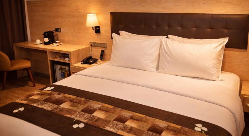 Image of Premium Room with Mountain View 8