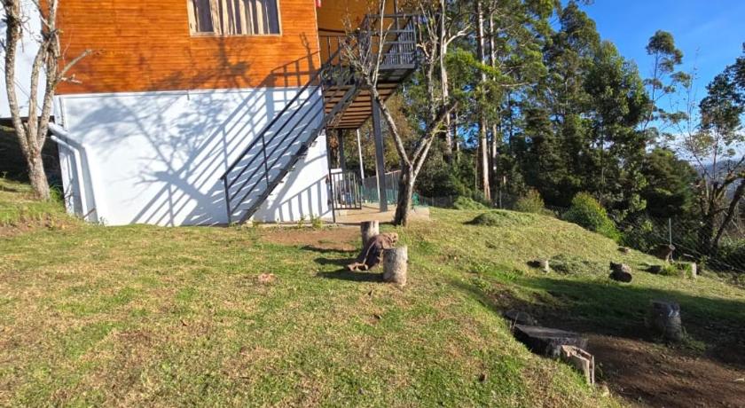 The rustic retreat - image 9