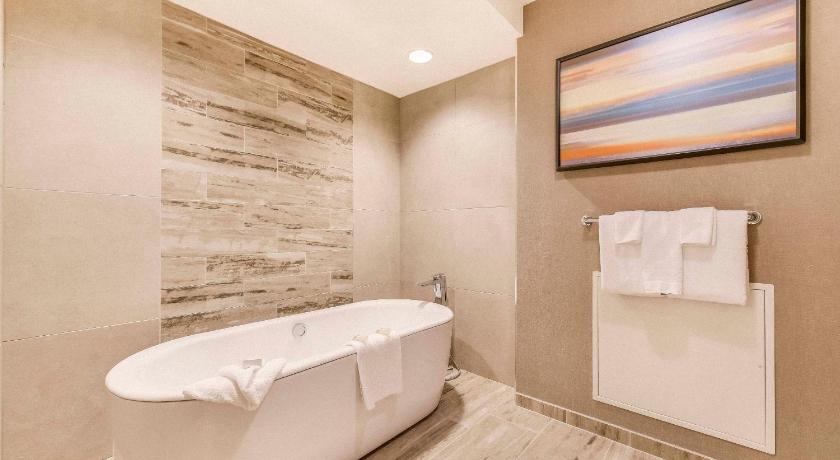 Image of Romulus Lake View Balcony Suite 1 King 2