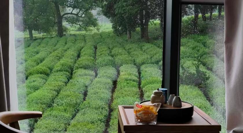 Hangzhou 杭州隐兮茶宿 Guesthouse view