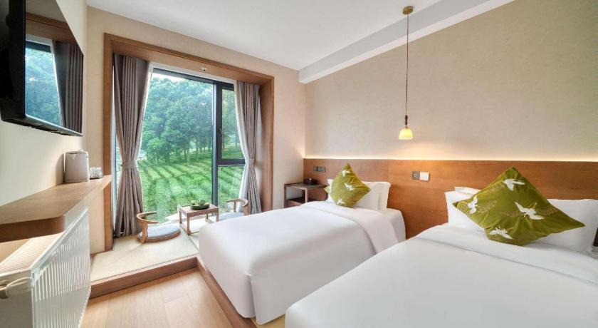 Hangzhou 杭州隐兮茶宿 Guesthouse pool