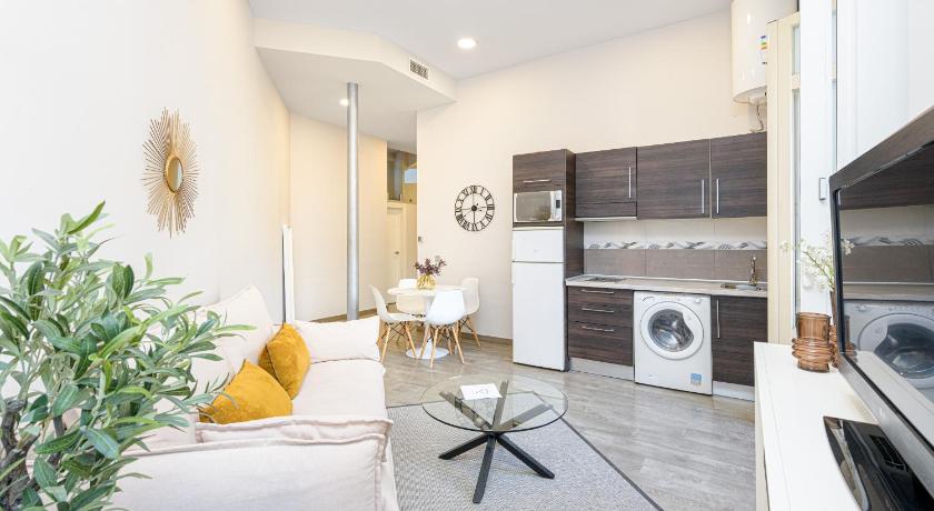 Apartamentos Calle Larios