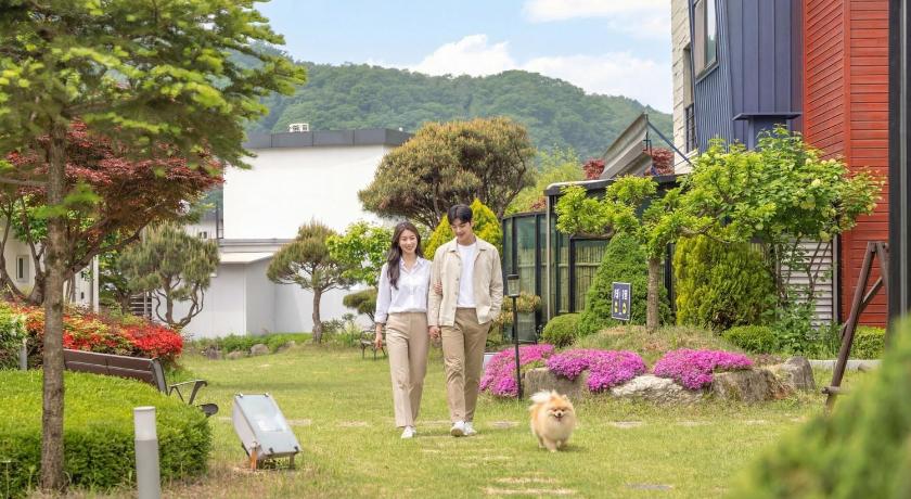 홍천 홍천 노일리 강마을 애견동반 펜션 (Hongcheon noilgangmaeul Pet Pension) 3성급 게스트하우스 부대시설