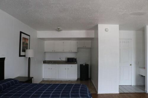 Dunedin Dunedin Cove Motel Accommodation exterior