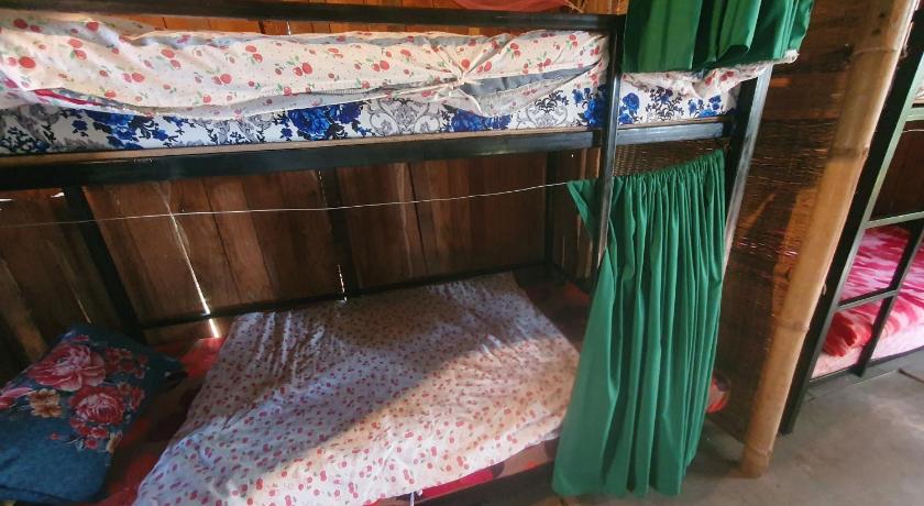 Image of Bunk Bed in Mixed Dormitory Room 0