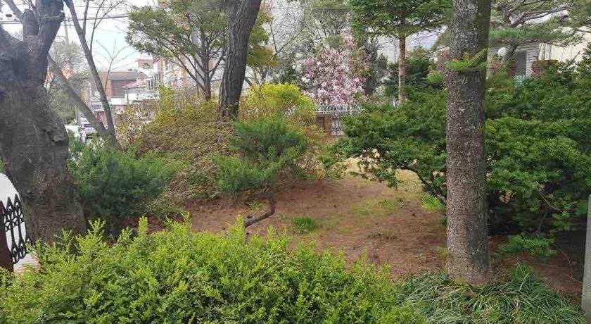 강릉 Gangneung Garden Terrace House 3성급 숙소 부대시설