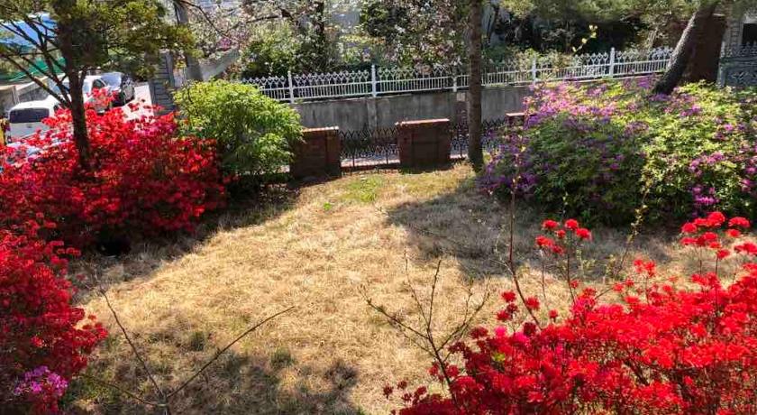 강릉 Gangneung Garden Terrace House 3성급 숙소 레스토랑