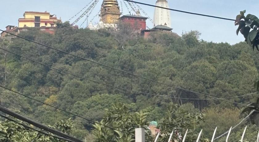 Nest Sweet Home — Kathmandu (4)