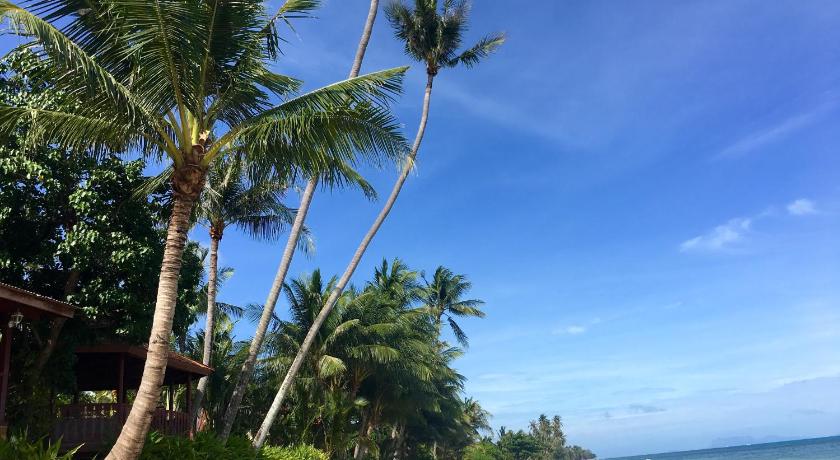a beach with palm trees and palm trees, Bangpo Village in Koh Samui
