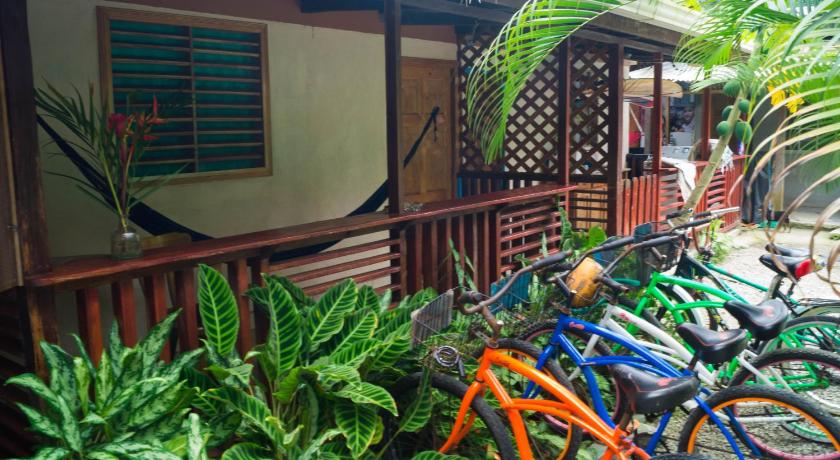 蓬塔卡拉曼卡 Hostal Cecilia 3星级 酒店 客房