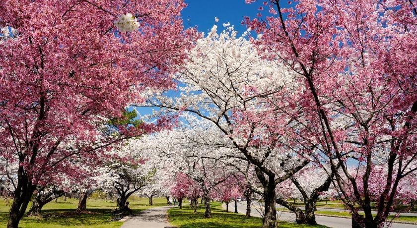 뉴어크 (NJ) Modern 2BR, King Suite and Free Parking, 30min to NYC 3성급 숙소 레스토랑