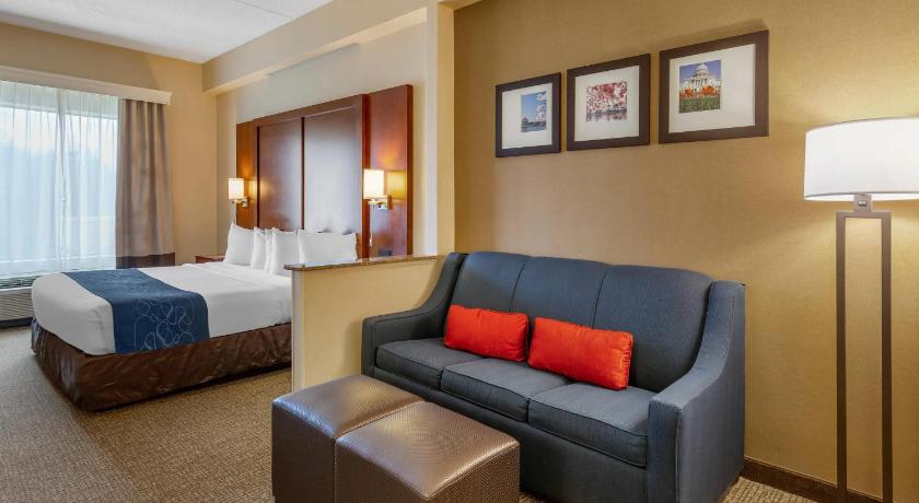 马纳萨斯 (弗吉尼亚州) Comfort Suites Manassas Battlefield Park 2星级 酒店 套房