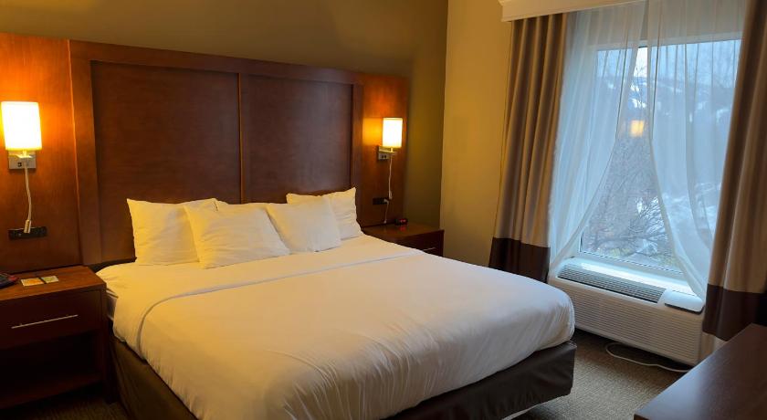 音乐 (宾夕法尼亚州) Comfort Suites Scranton near Montage Mountain 2星级 酒店 景观