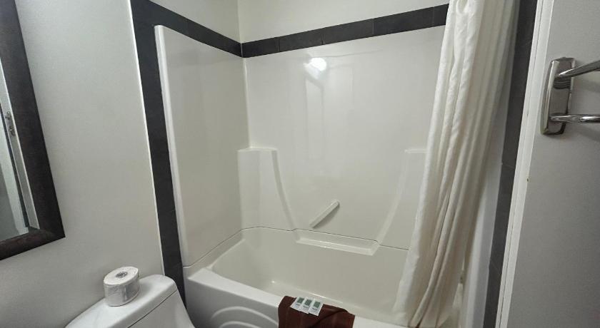 ベルビュー (AB) Northern Lights Inn & Suites 3つ星 ホテル プール