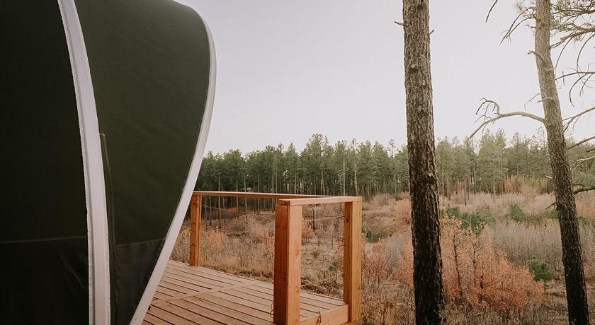마운틴에어 (NM) Glamping Escape in the Manzanos 3성급 숙소 로비