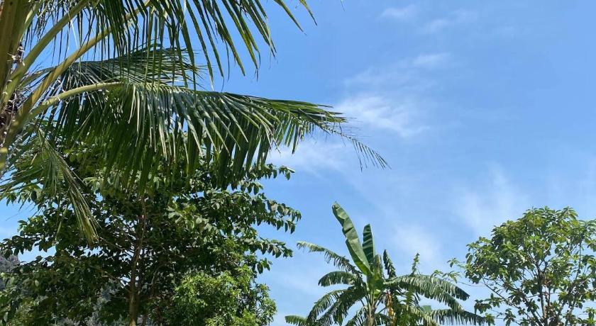 Foresta Trang An - Ninh Binh Homestay - image 18