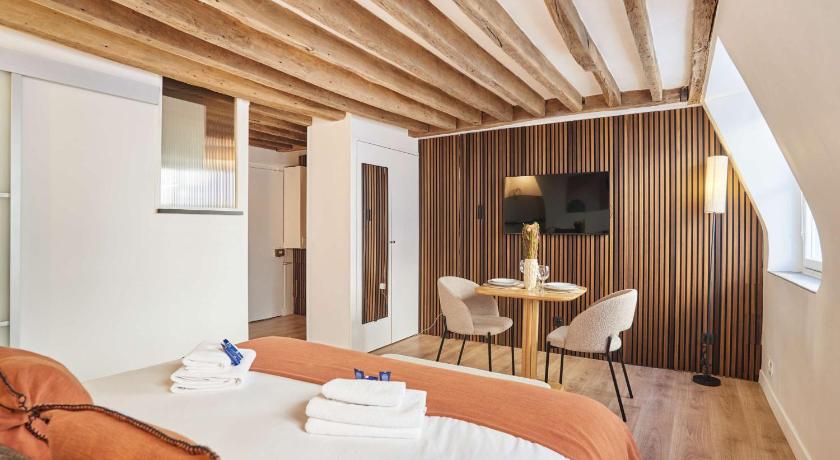 Suite Louvre Museum - Rue Saint Honore - image 6