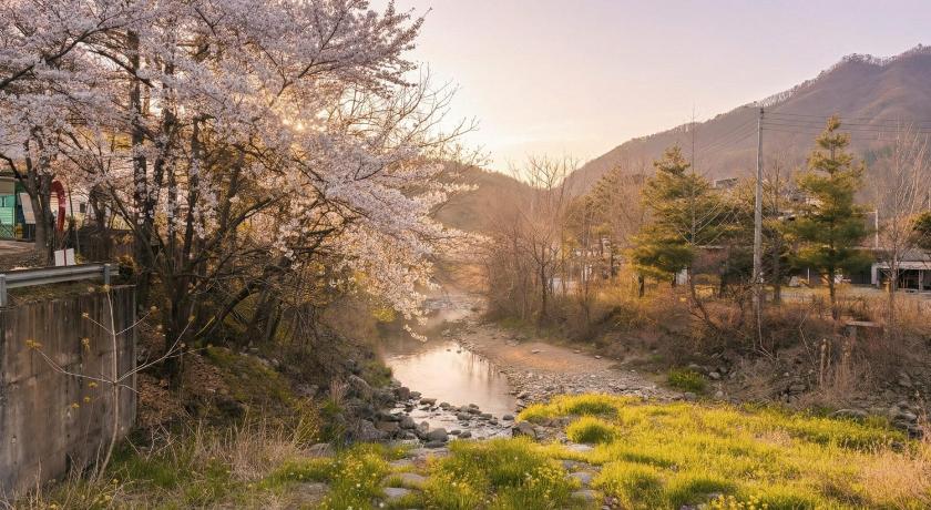 가평 하늘다리 애견동반 펜션