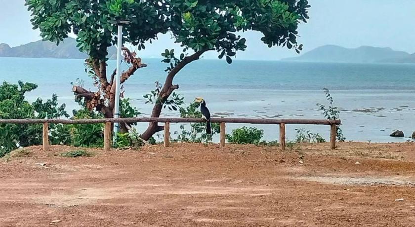 Koh Phaluay Goodview & Bar