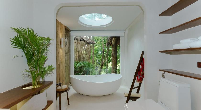 Image of Sainai Forest 10