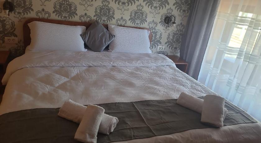 티미쇼아라 Casa Heidi 3성급 호텔 수영장