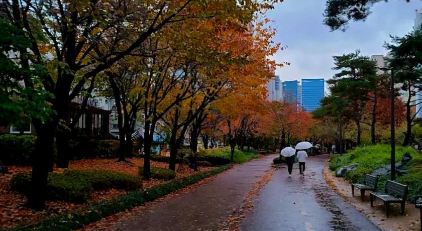 서울 홍대 햇살 가득한 집 프라이빗 단독층 35평 방4,욕실2,거실2,최대10인,단체,가족,승강기,주차,짐 보관 4성급 숙소 외관