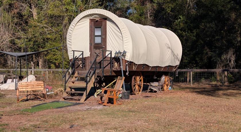 キーストーンハイツ Luxury Covered Wagon, Rooterville Animal Sanctuary 3つ星 宿泊施設 プール