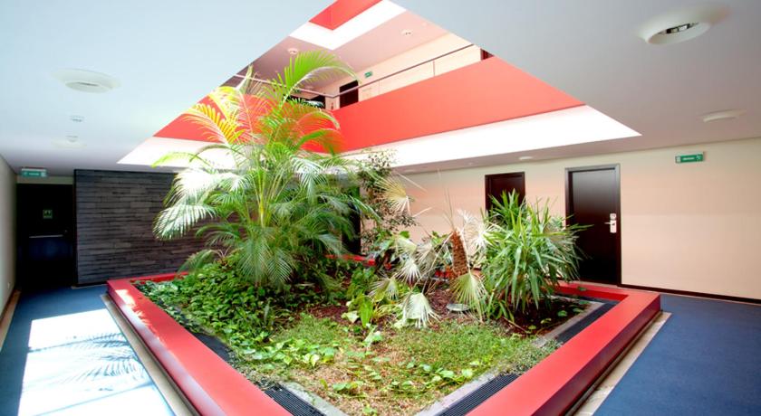 阿鲁卡 Hotel Sao Pedro 3星级 酒店 泳池