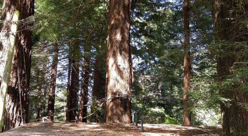 트리니다드 (CA) Emerald Forest Cabins 3성급 숙소 외관