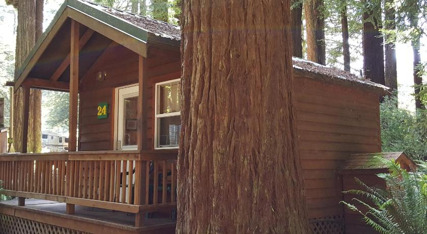 트리니다드 (CA) Emerald Forest Cabins 3성급 숙소 객실
