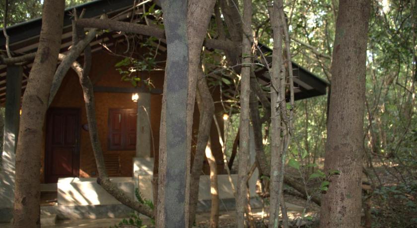 Sigiriya Wild Cottages - image 8