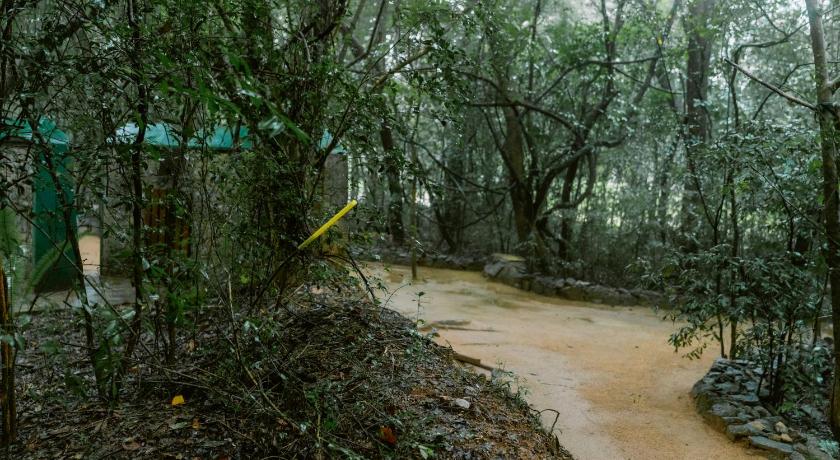 Sigiriya Wild Cottages - image 16