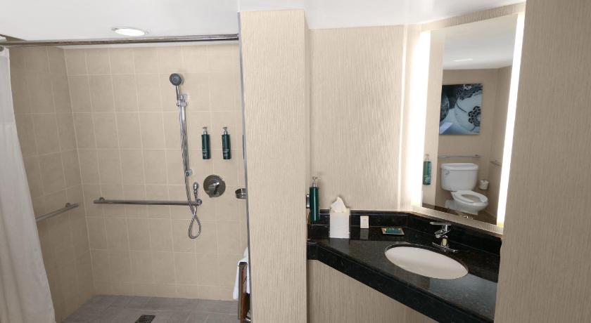 Image of 1 Bd Mobility/hearing Access Ri Shwr 11