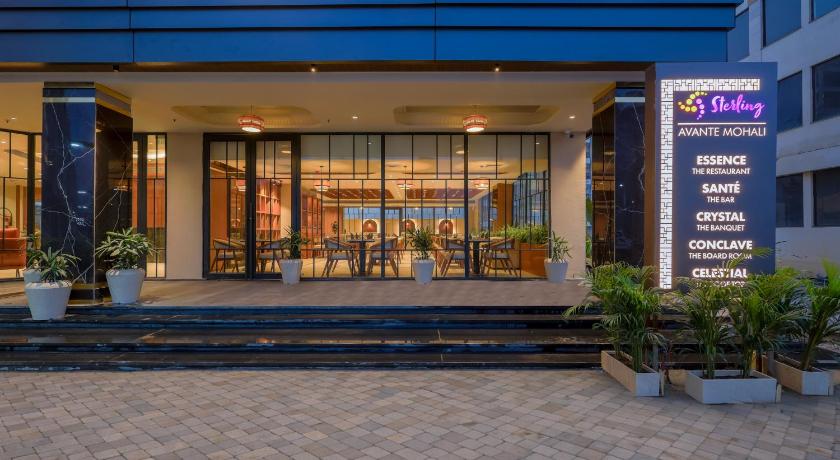 Sterling Avante Chandigarh Mohali - image 11