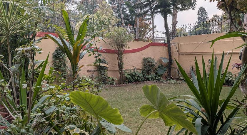 Executive Royal Garden - image 5