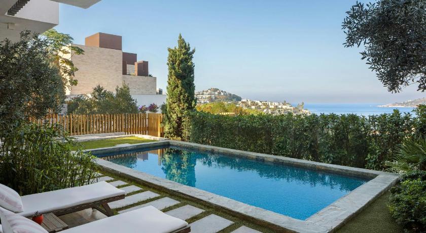 Superior One-Bedroom King Suite with Private Pool Görseli 5