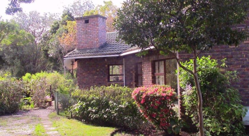 Forest Nest — Hotel in Storms River