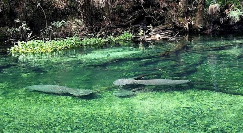 레이크 헬렌 Charming Lakefront Room with Private Porch & Canoe Rentals Near Lake Helen, Florida 2성급 숙소 레스토랑