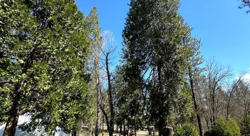 그로브랜드 (CA) Cozy Nature-Filled Home with Garden & Night Sky Views Near Yosemite Tioga Pass, Groveland CA 3성급 숙소 부대시설