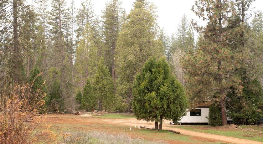 그로브랜드 (CA) Cozy Nature-Filled Home with Garden & Night Sky Views Near Yosemite Tioga Pass, Groveland CA 3성급 숙소 전망